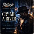 Cry Me A River feat Chris Williams — Instant Download